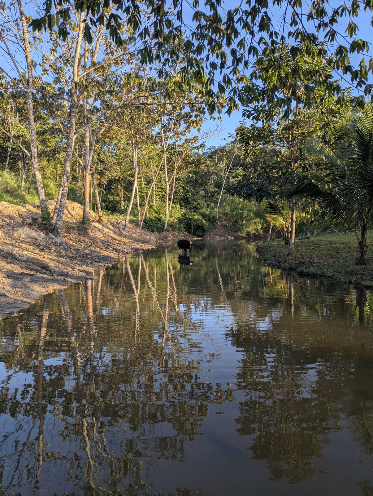 Water and river near the farm