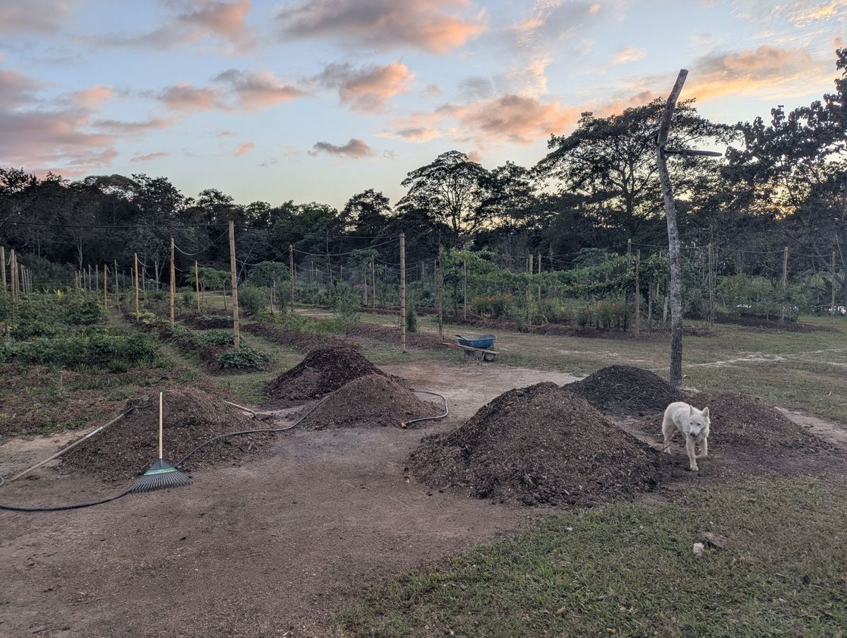 Pila de compost al atardecer en la finca