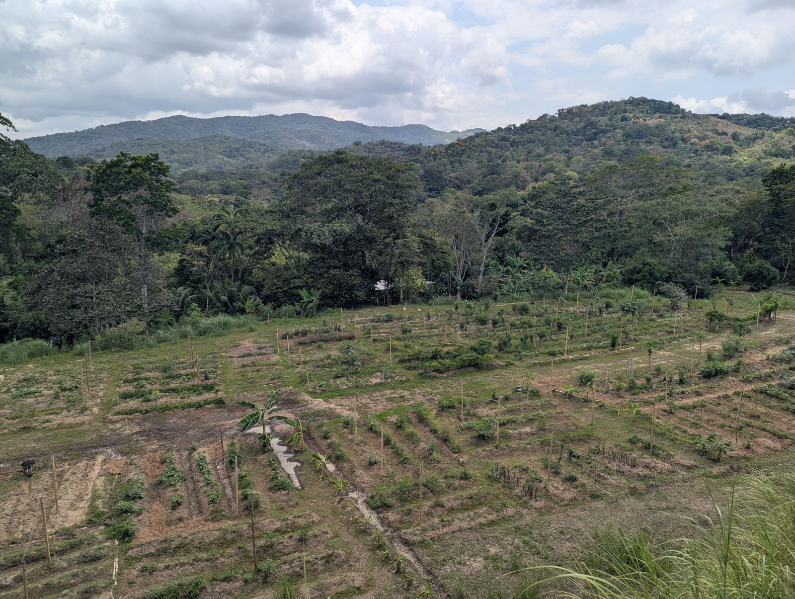 View of the farm and tropical valley