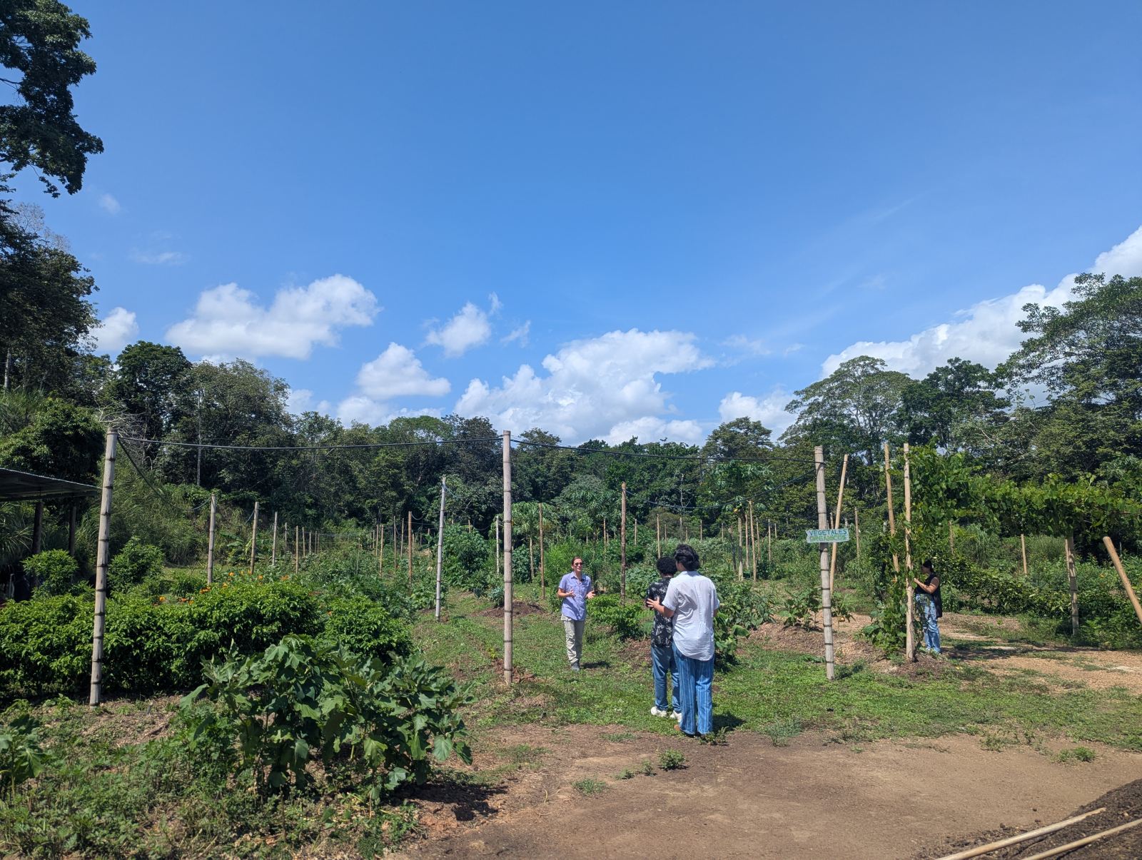 Field visit and work on the farm