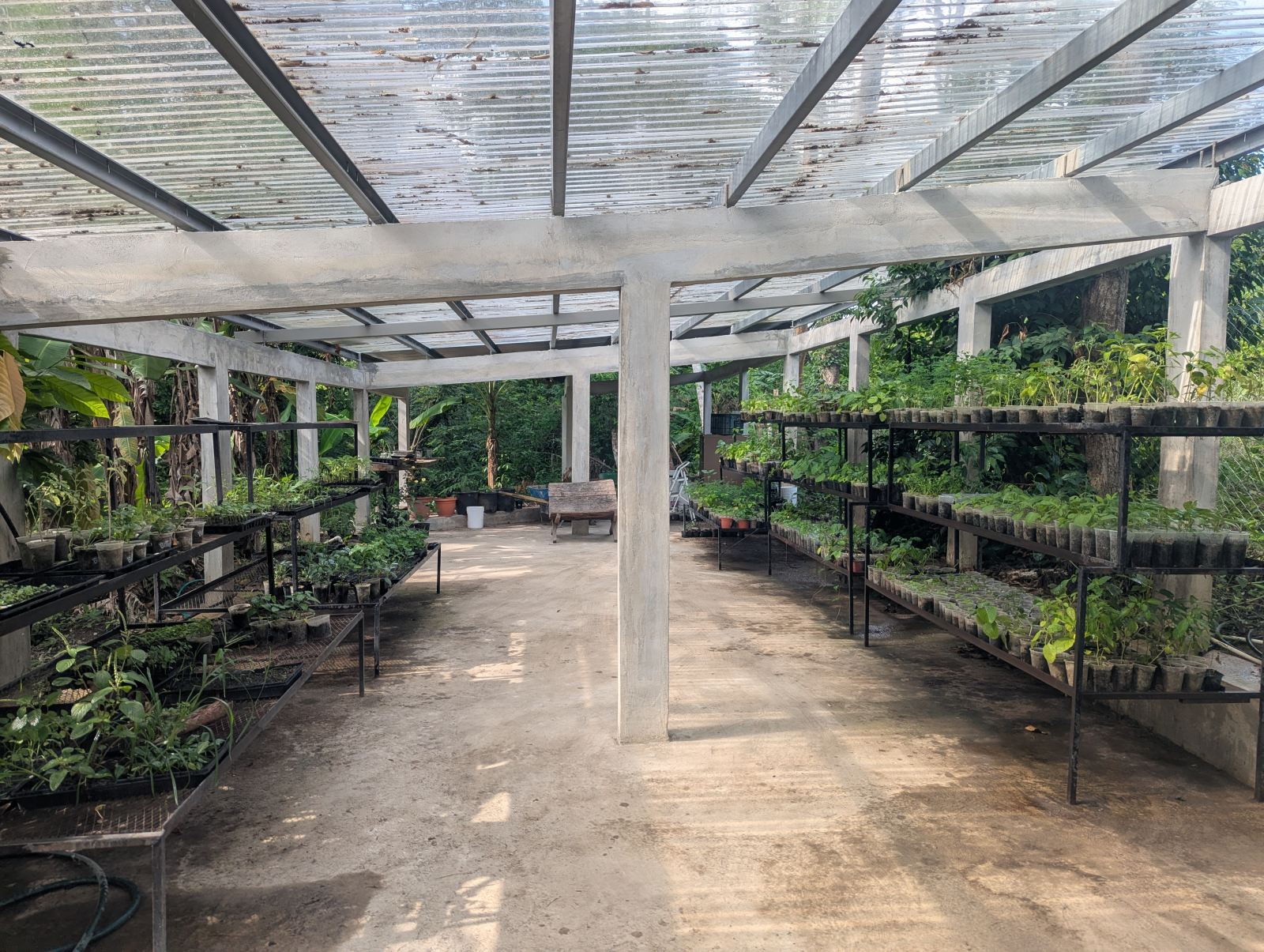 Vivero de Finca Hierbawena