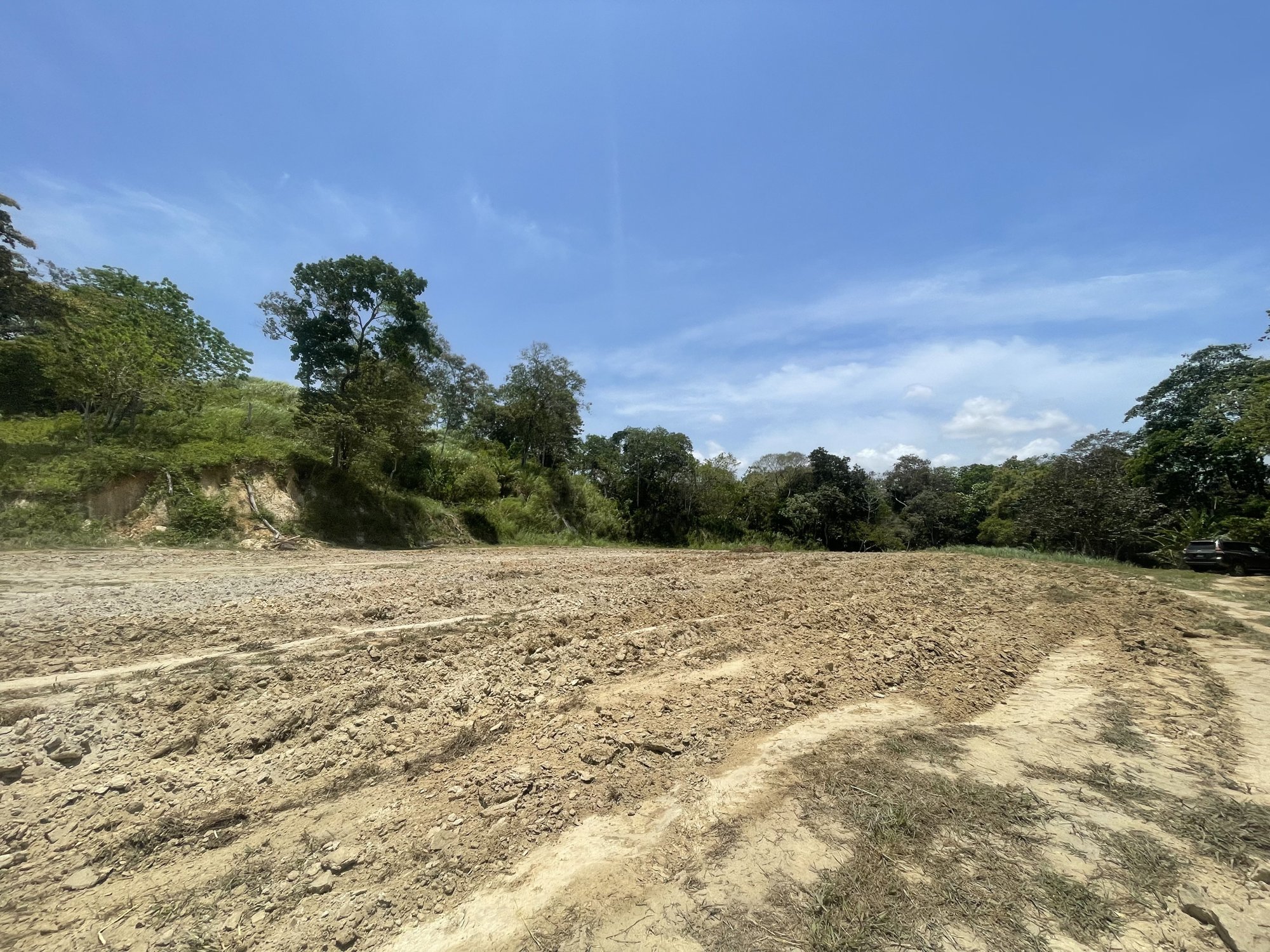 Terreno de la finca con topsoil y subsoil removidos: tierra nivelada y bosque al borde